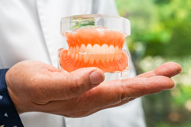 Hand holding dental model showing teeth alignment with blurred outdoor background