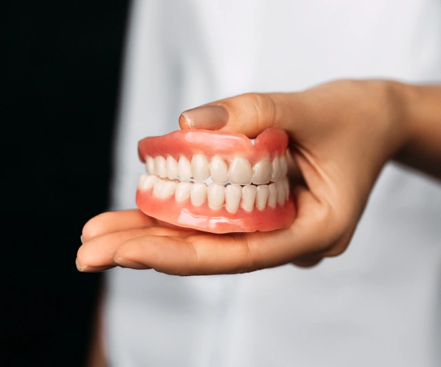Hand holding a dental model showing artificial teeth and pink gums against white background.